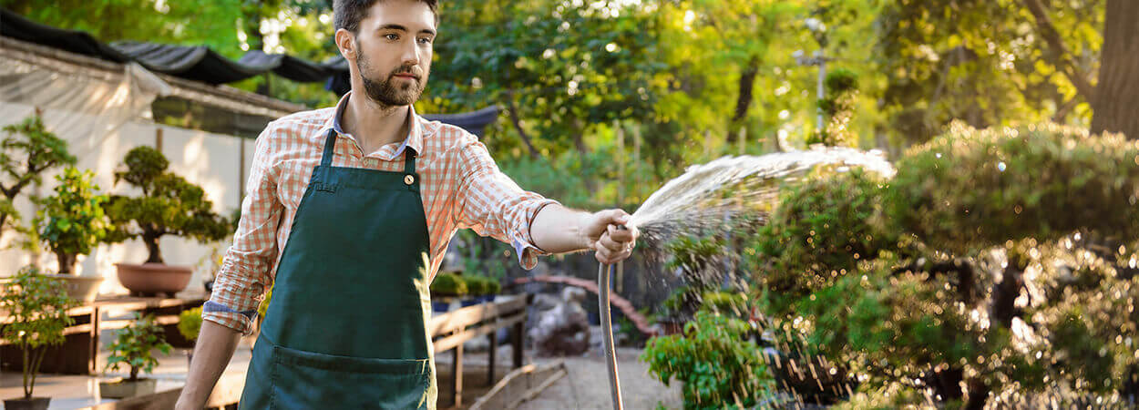 Watering plants