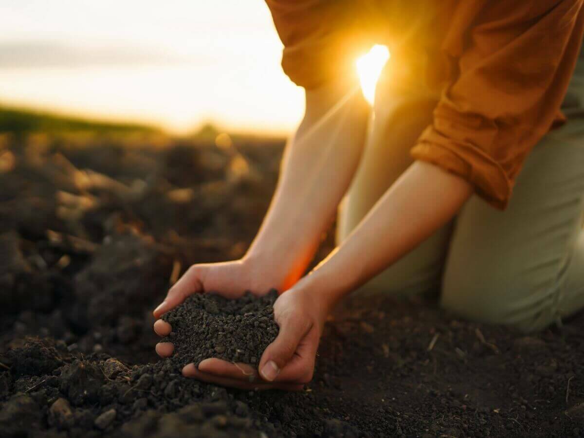 Good, healthy soil is the foundation