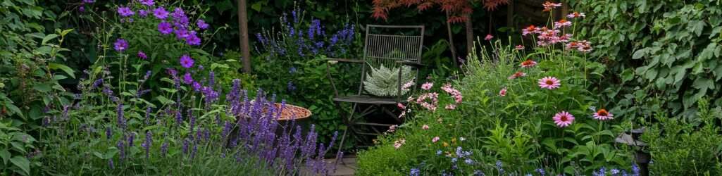 Inspiration: Create a Charming Small Garden image