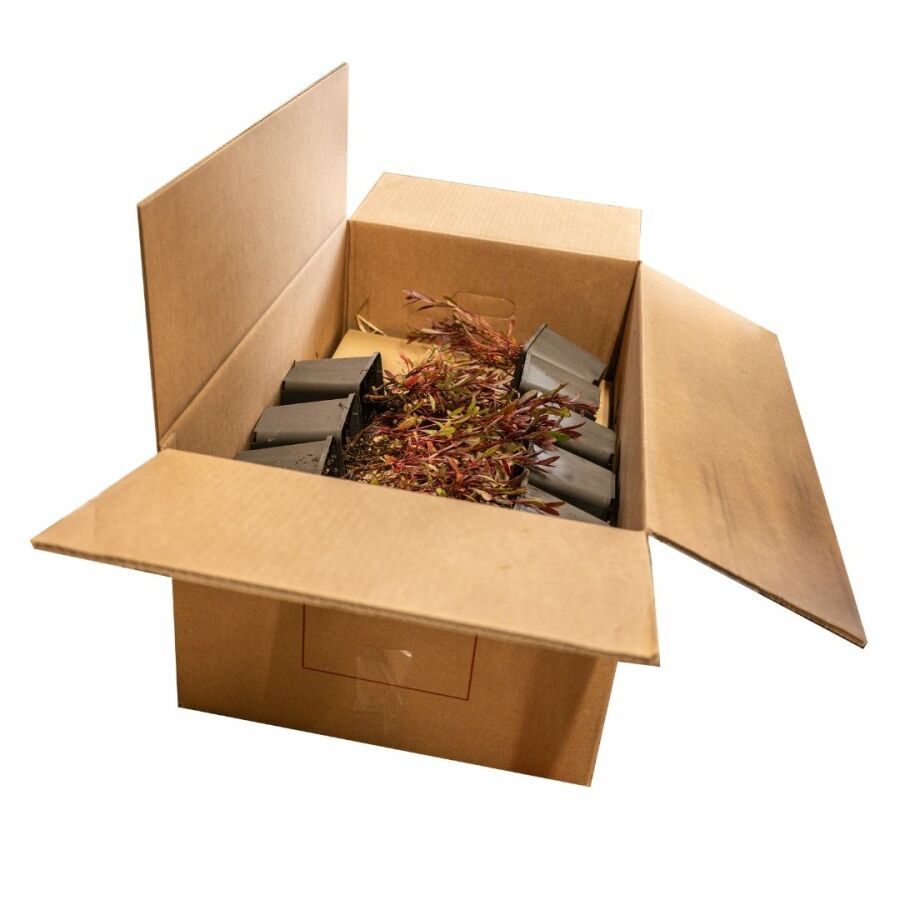 <b>Careful and fast delivery</b> throughout the United Kingdom