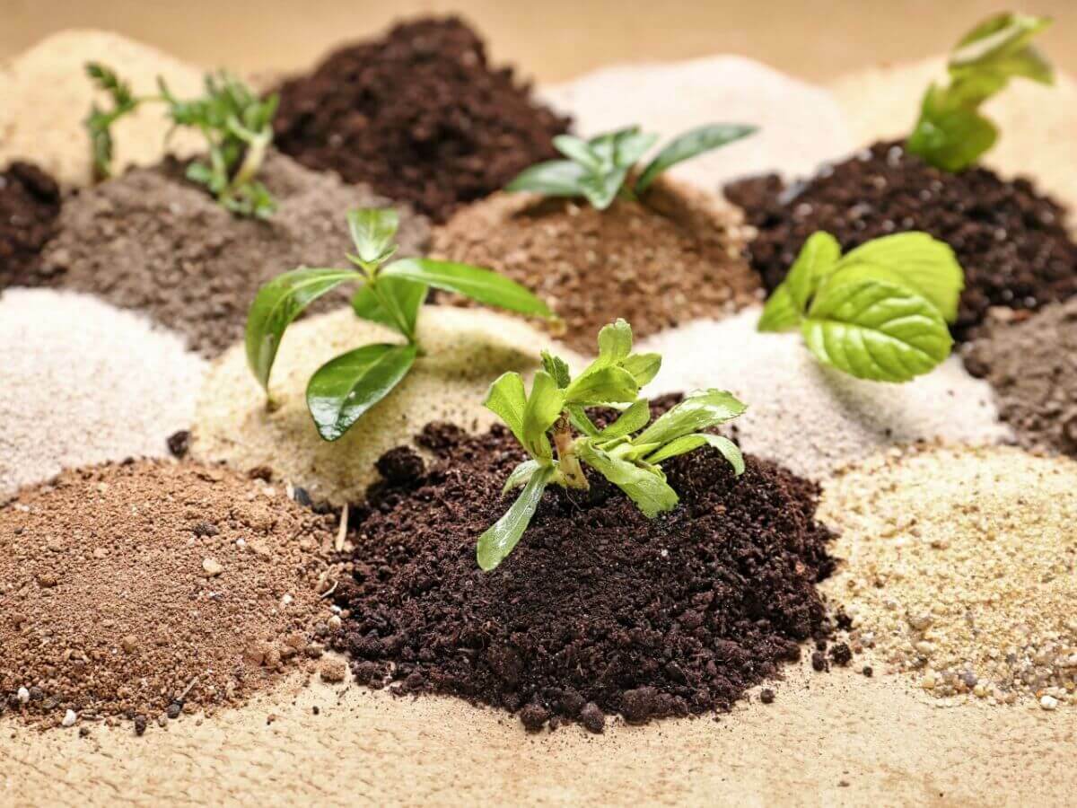 Soil types