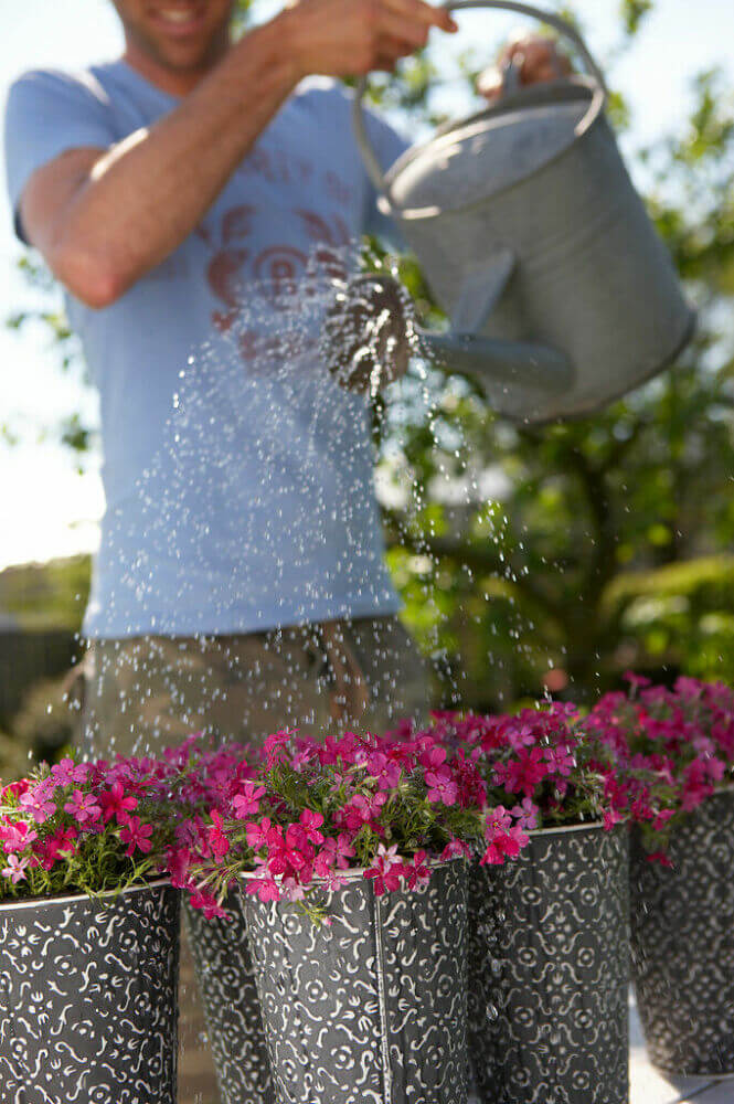 Watering plants