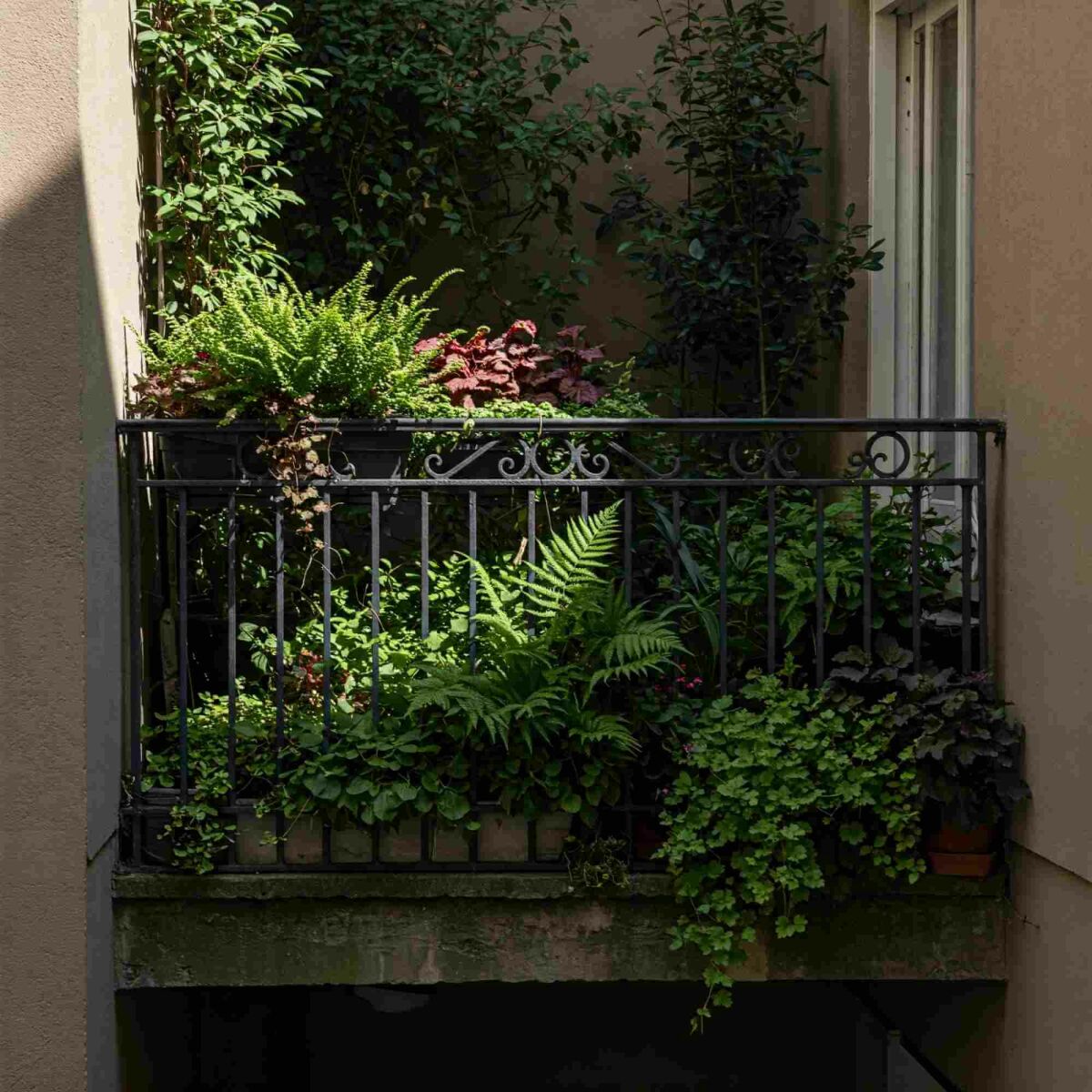 Small space, big impact: how to design a green balcony image