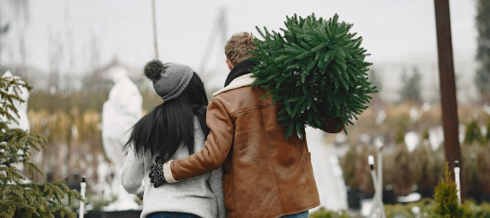 Hedges as Christmas trees