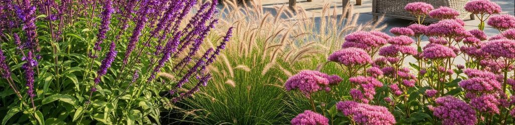 Top 7 Heat-Resistant Plants for a Sunny Garden image