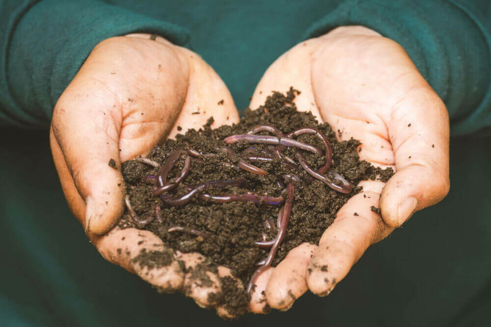 Create your own compost heap