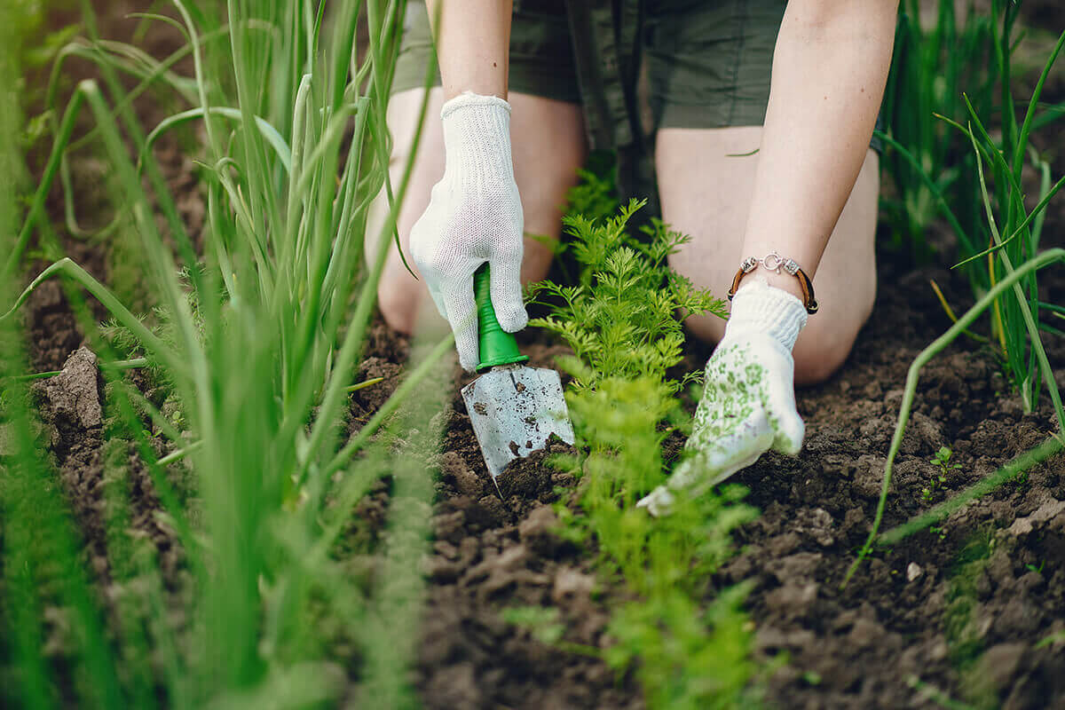 Gardening yourself healthy